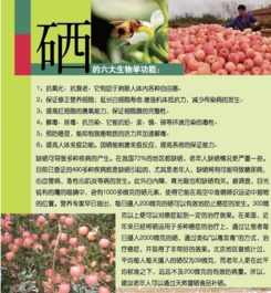 富硒健康禮，聚匯網(wǎng)上選——煙臺(tái)人的品質(zhì)生活新標(biāo)桿